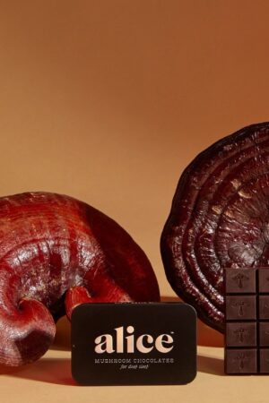 Alice Mushrooms NightCap – 4 Tins (64 Doses)