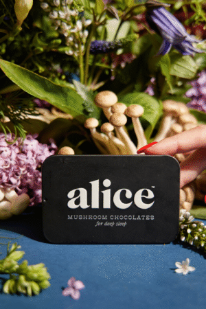 Alice Mushrooms NightCap – 2 Tins (32 Doses)