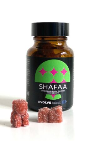 Shafaa Evolve Magic Mushroom Microdosing Gummy Bears