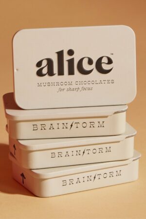 Alice Mushrooms – Brainstorm Chocolate For Sharp Focus