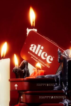 Alice Mushrooms Chocolate Happy Ending – 4 Tins (64 Doses)