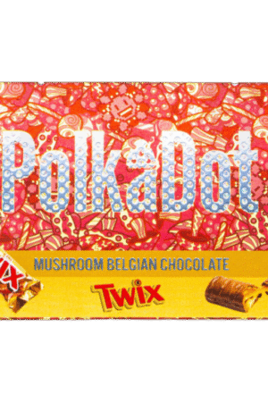 Polkadot | Twix | 4g