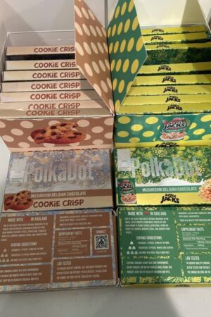 PolkaDot Mushroom Chocolate Box | Bulk/Wholesale